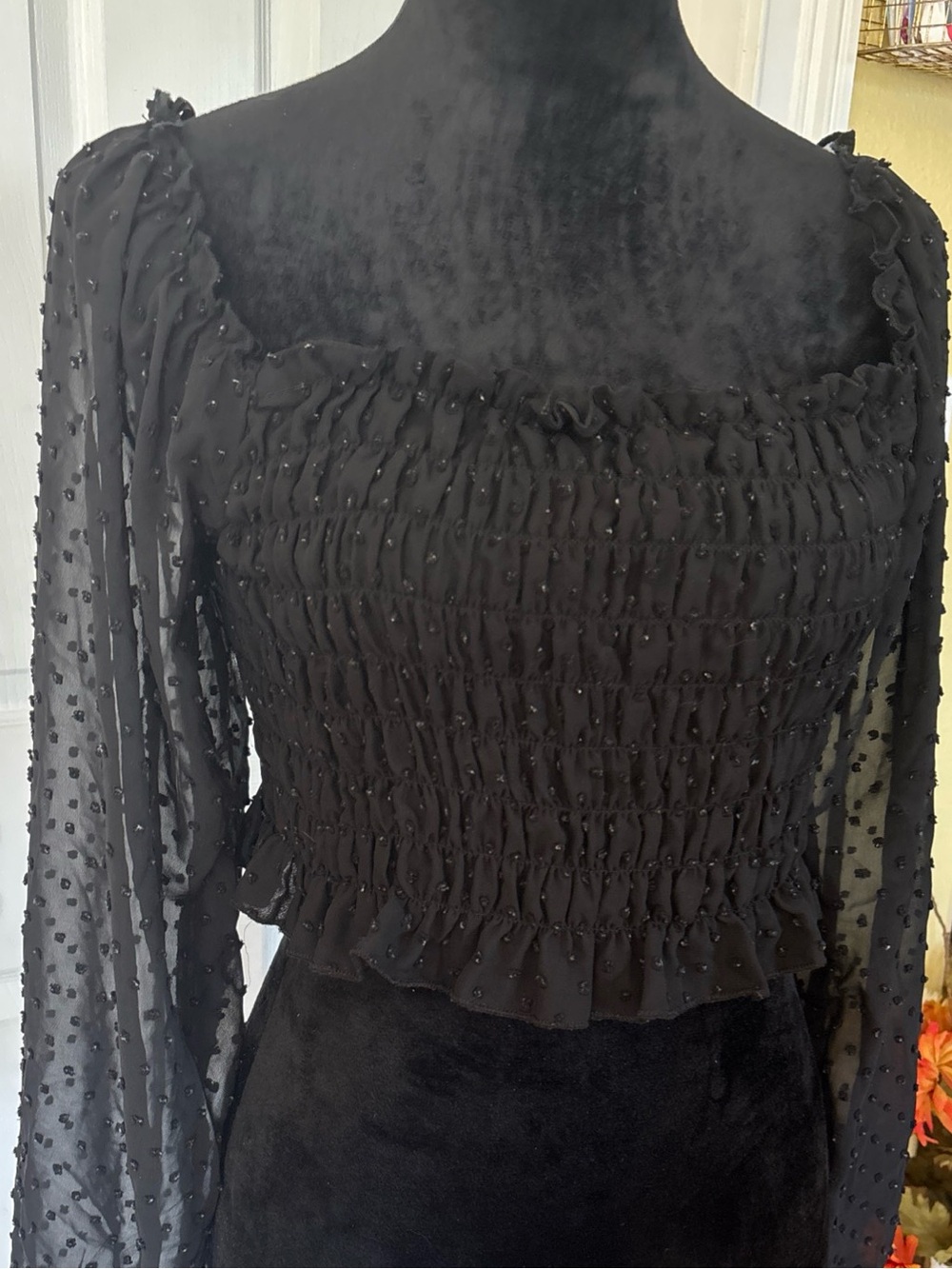 Smocked Swiss Dot Long Balloon Sleeve Crop Sheer Top - Black